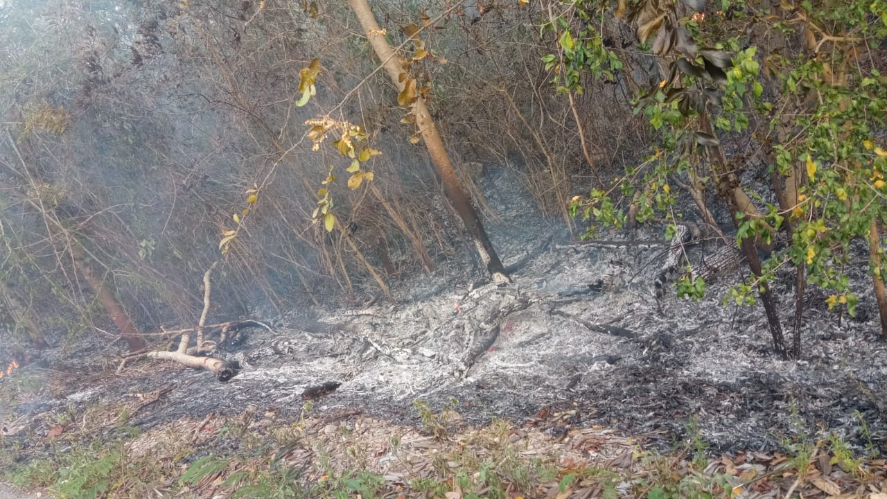 Hombres y mujeres se abocaron a combatir el fuego antes de que pudiera causar un daño Hombres y mujeres se abocaron a combatir el fuego antes de que pudiera causar un daño