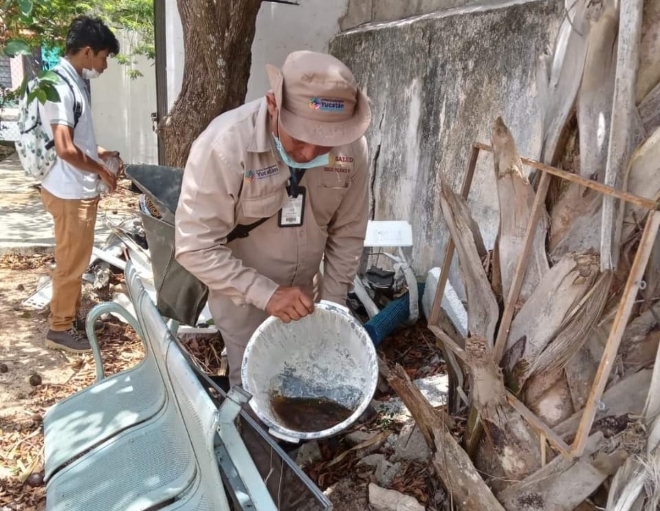 Ya son cuatro casos de dengue hemorrágico que surgen en Tizimín durante el mes de mayo