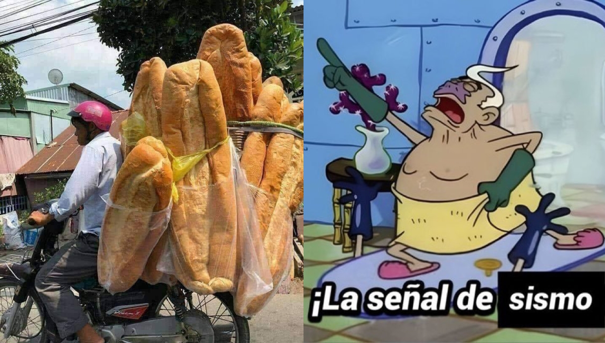 Los mejores memes del sismo circulan en las redes sociales