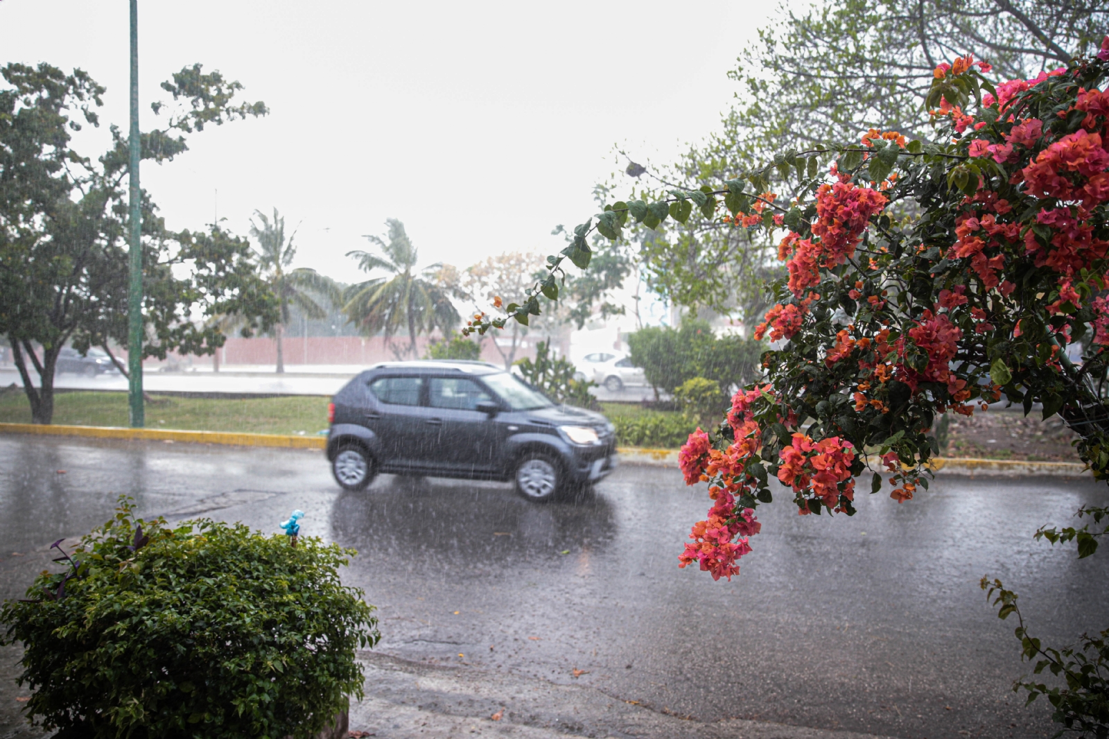 Se esperan lluvias durante este sábado en Mérida