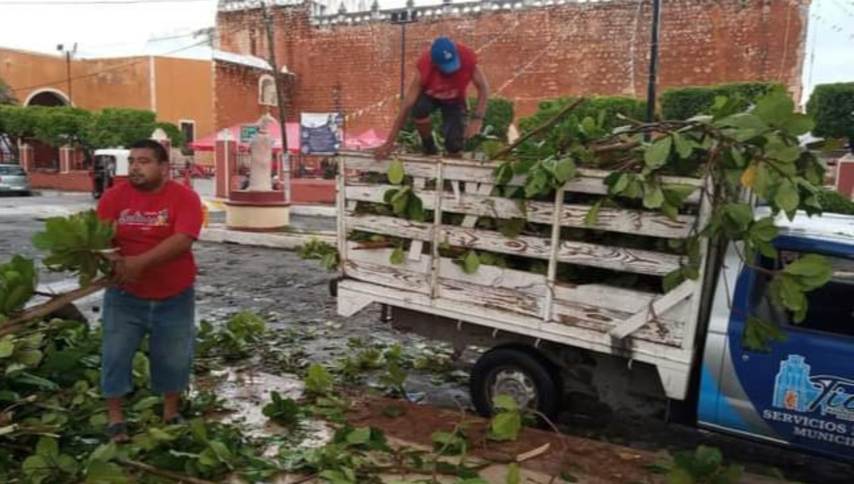 Protección Civil se ha encargado de la recolección de árboles en las calles