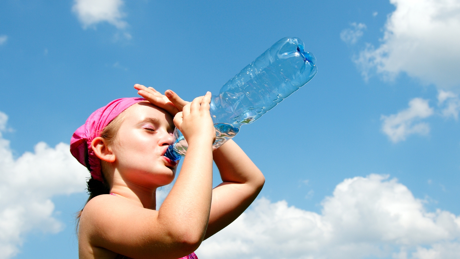 ¿Cómo identificar un golpe de calor? ¿Cómo identificar un golpe de calor?