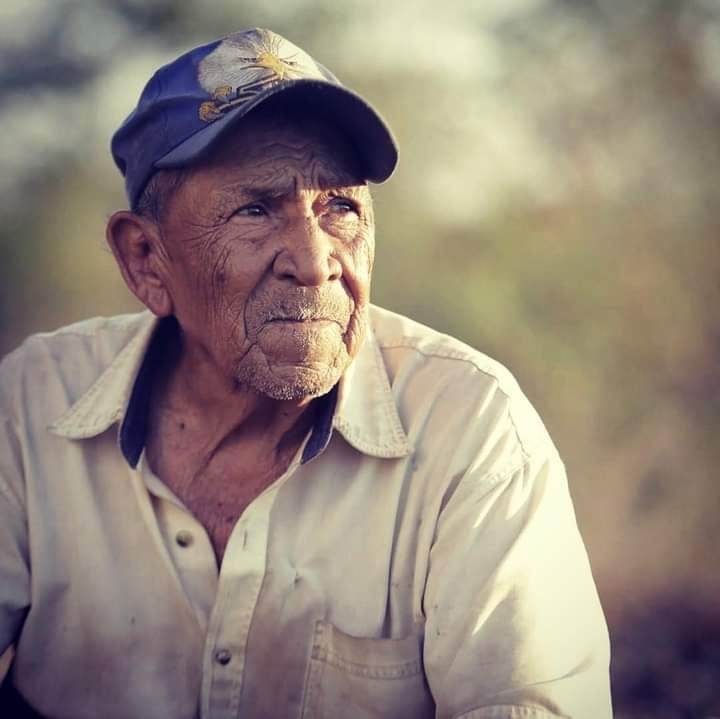 Don Cuco lleva 83 años curando con plantas en Acanceh Don Cuco lleva 83 años curando con plantas en Acanceh