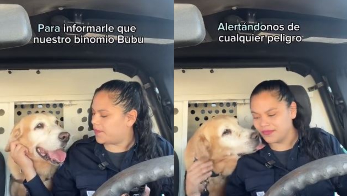Bubu fue despedido por la policía de Hermosillo