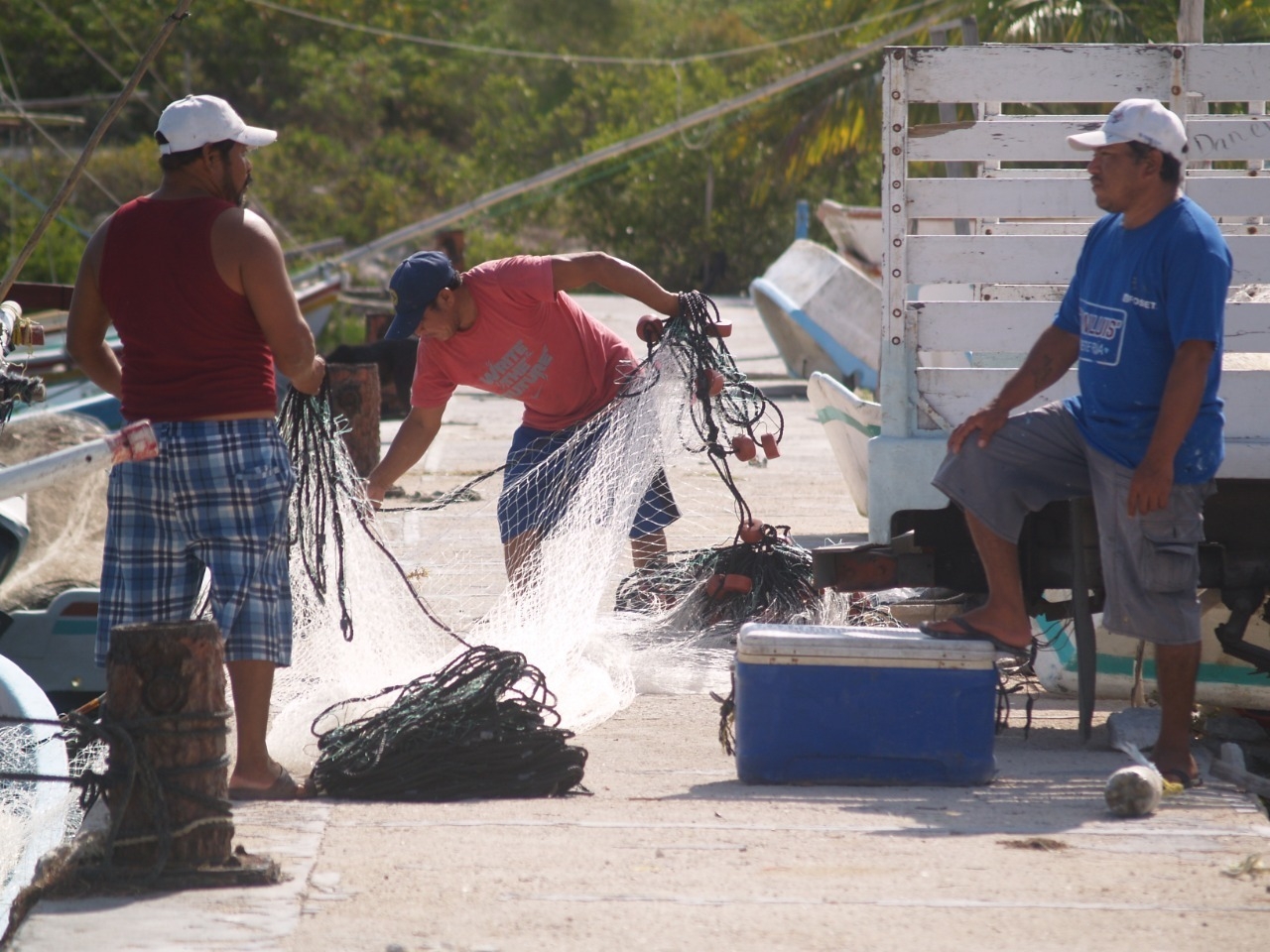Más de 12 mil pescadores de Yucatán, en crisis por caza de especies en veda y clima extremo