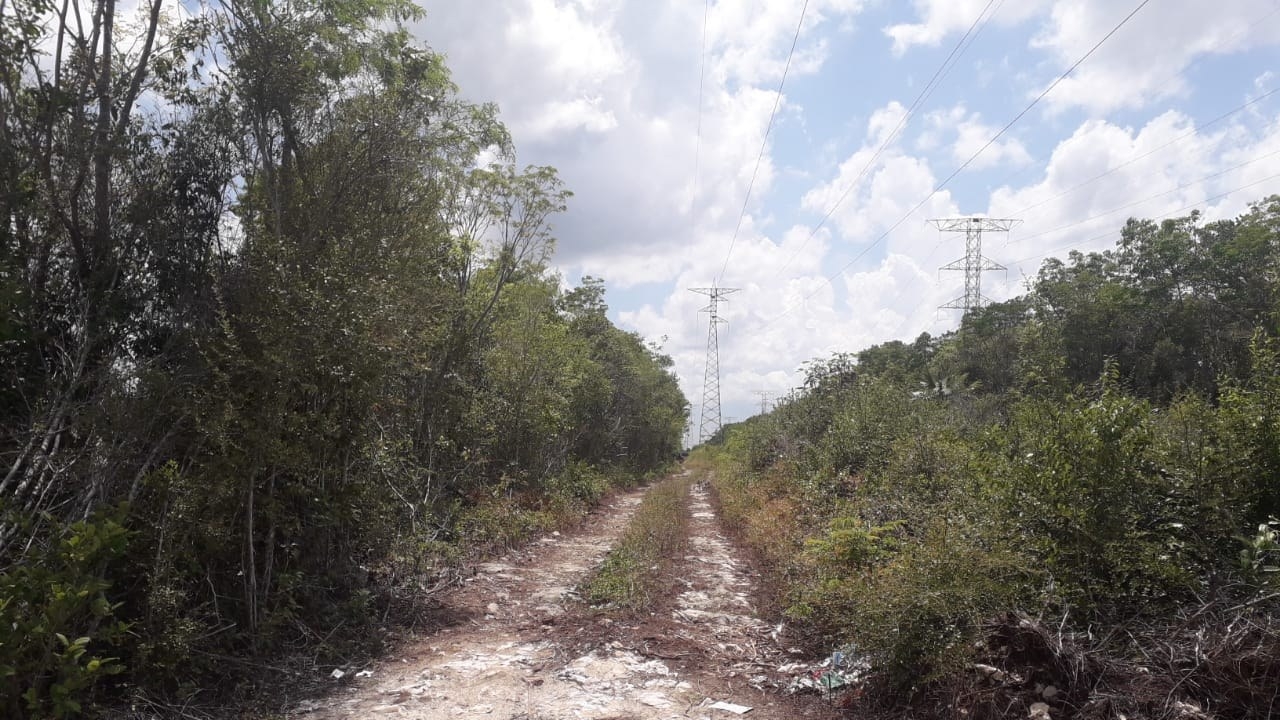 Cancún violento: Hallan tres cuerpos en Bonfil tras el reporte de uno