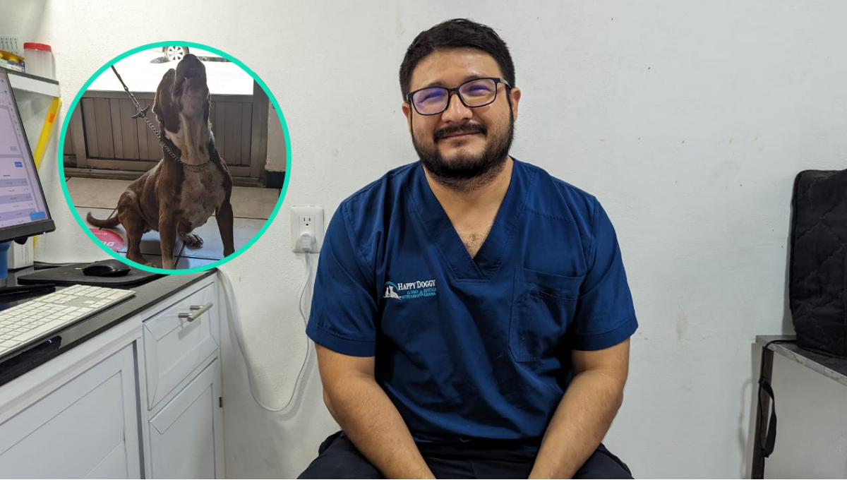 El veterinario, Henry Tzuyub, nos cuenta cómo debe ser el cuidado específico con nuestras mascotas en esta tercera ola de calor El veterinario, Henry Tzuyub, nos cuenta cómo debe ser el cuidado específico con nuestras mascotas en esta tercera ola de calor