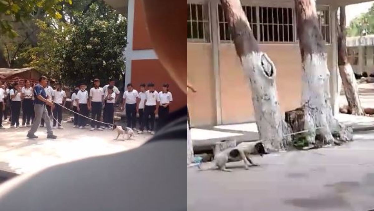 Los perros fueron sacados con sogas y palos