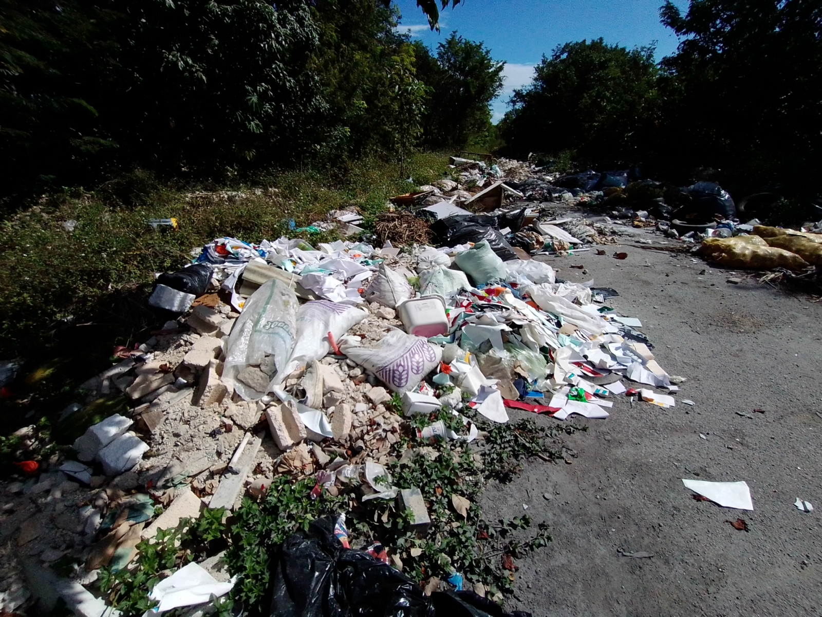 Junto con los sillones, ahora se ha puesto “de moda” que la gente también deseche sus refrigeradores en las vialidades, sumándose a las causas de contaminación