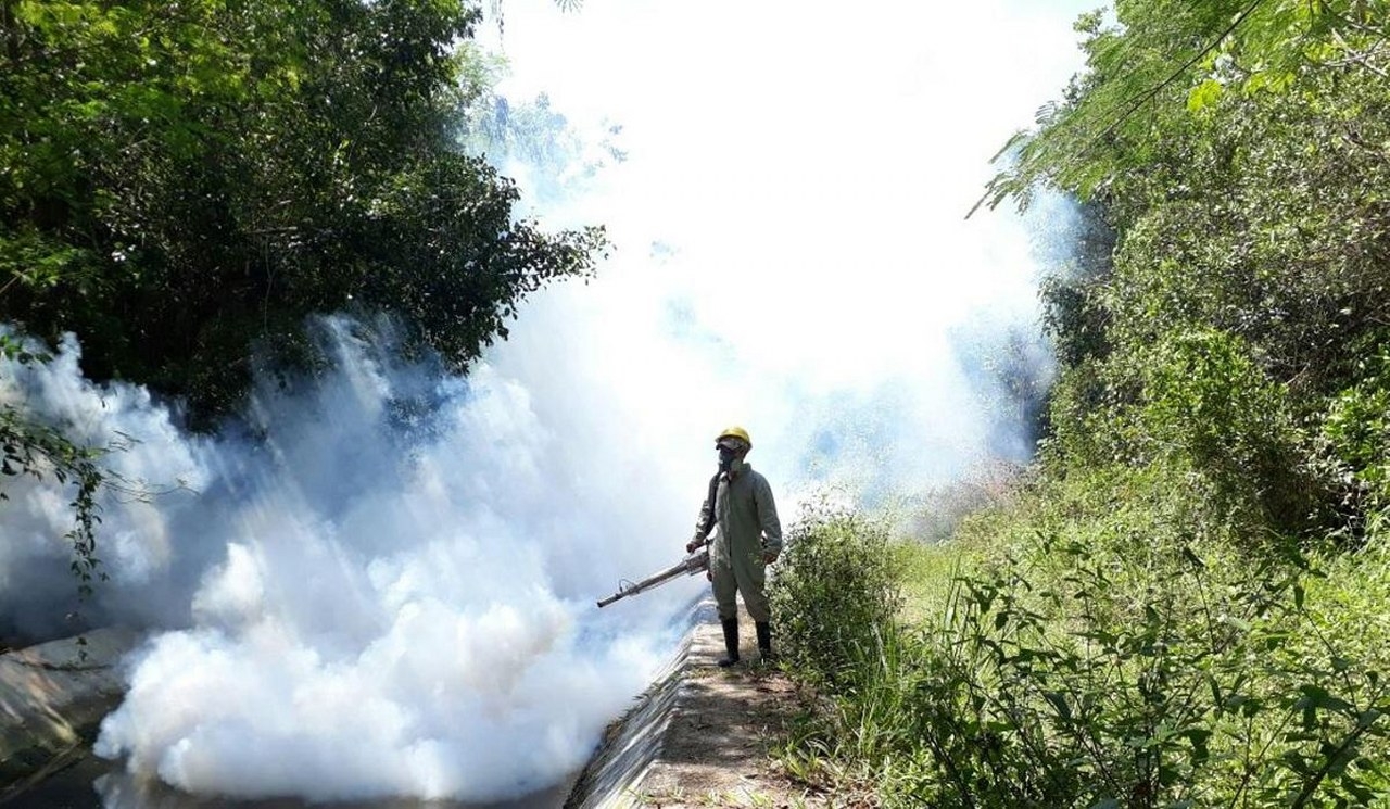 Se reforzarán las acciones para disminuir la reproducción y proliferación del mosco Aedes aegypti Se reforzarán las acciones para disminuir la reproducción y proliferación del mosco Aedes aegypti
