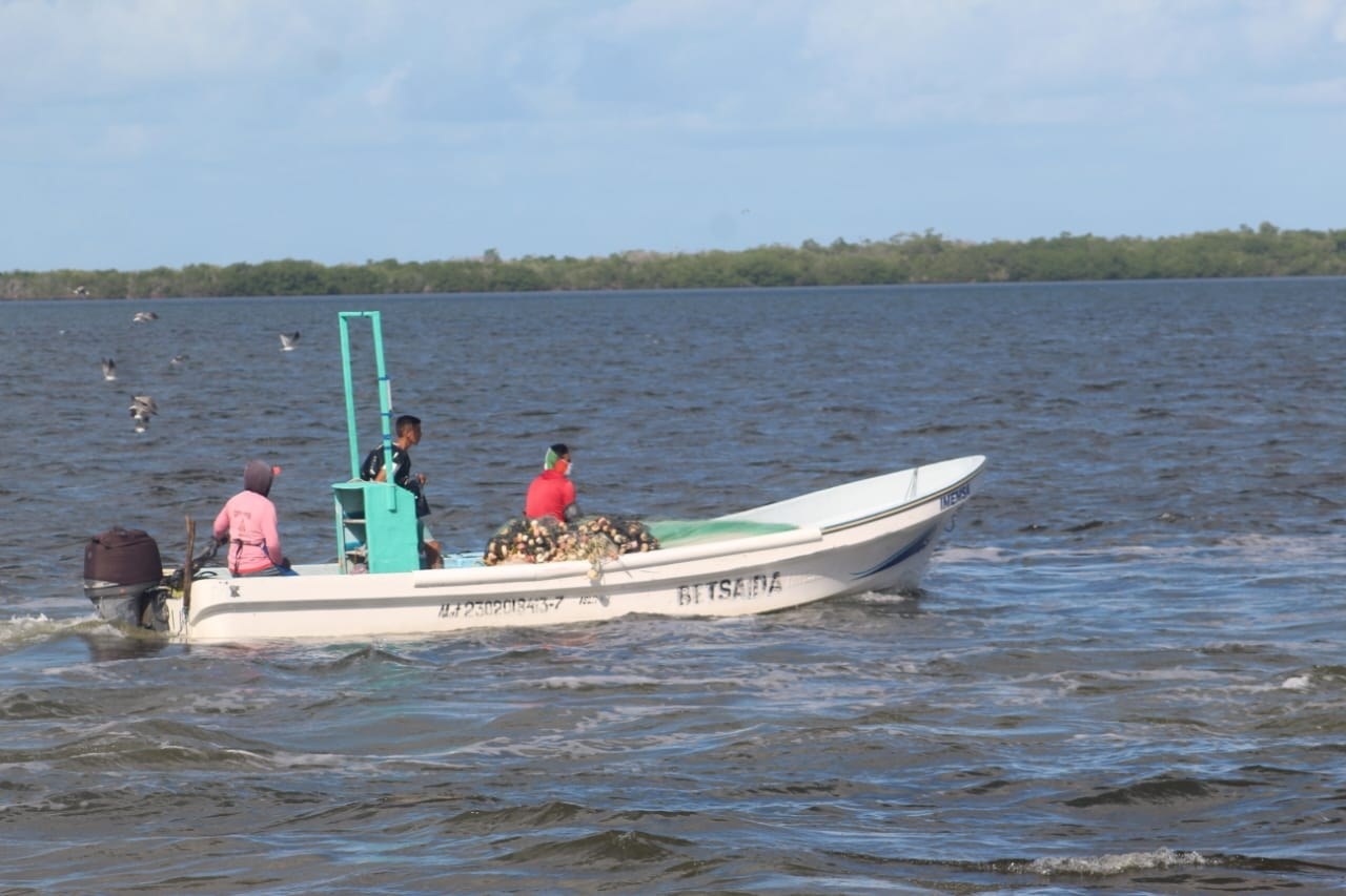 La descompresión en pescadores es un riesgo inminente en cada temporada de captura de langosta