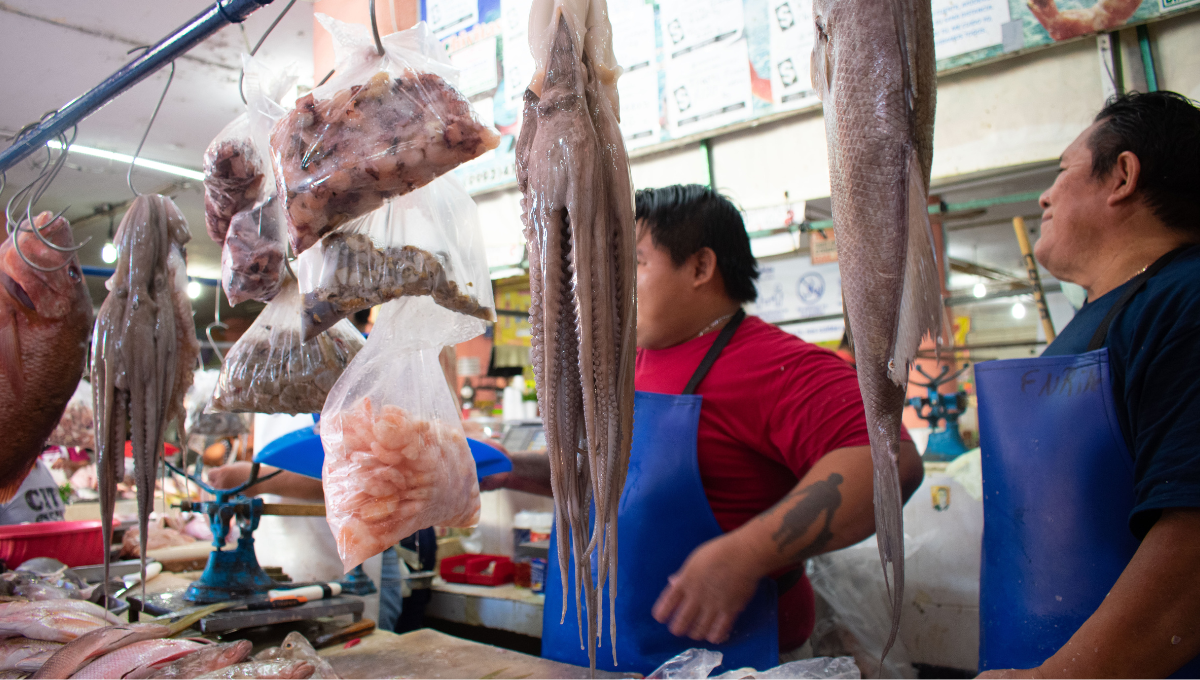 En vísperas del inicio de la temporada de captura de pulpo el sector está en crisis