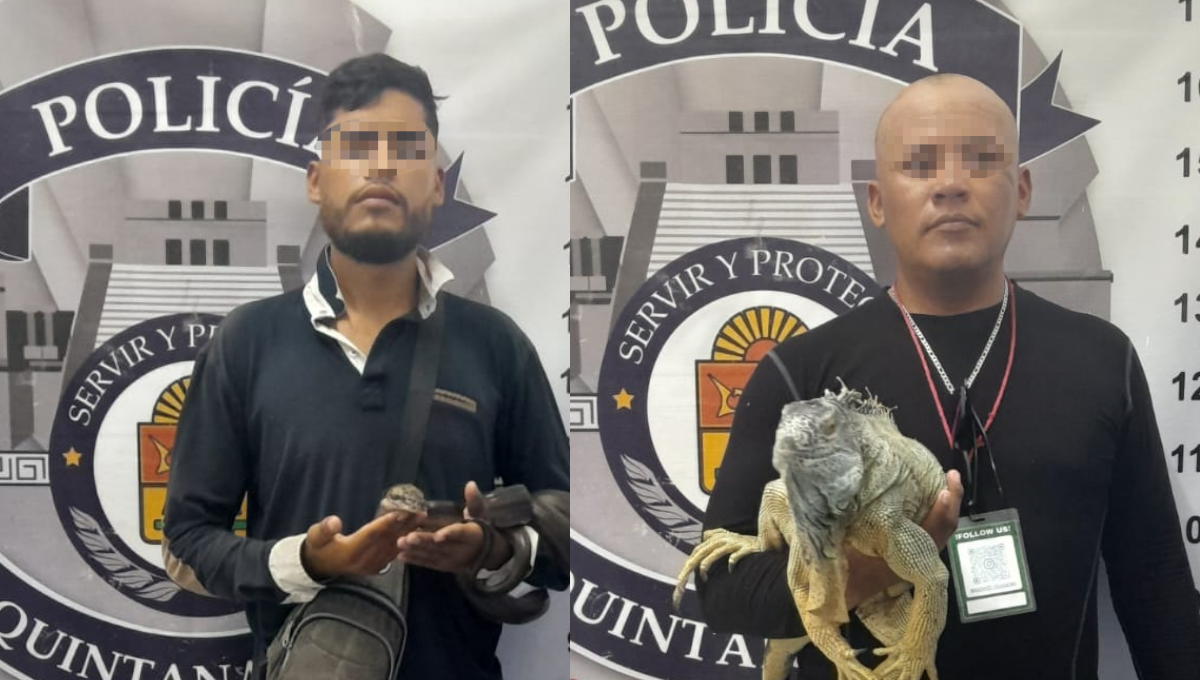 Fueron detenidos Fernando “N", y Jesús Ismael “N” por posibles delitos contra la biodiversidad Fueron detenidos Fernando “N", y Jesús Ismael “N” por posibles delitos contra la biodiversidad