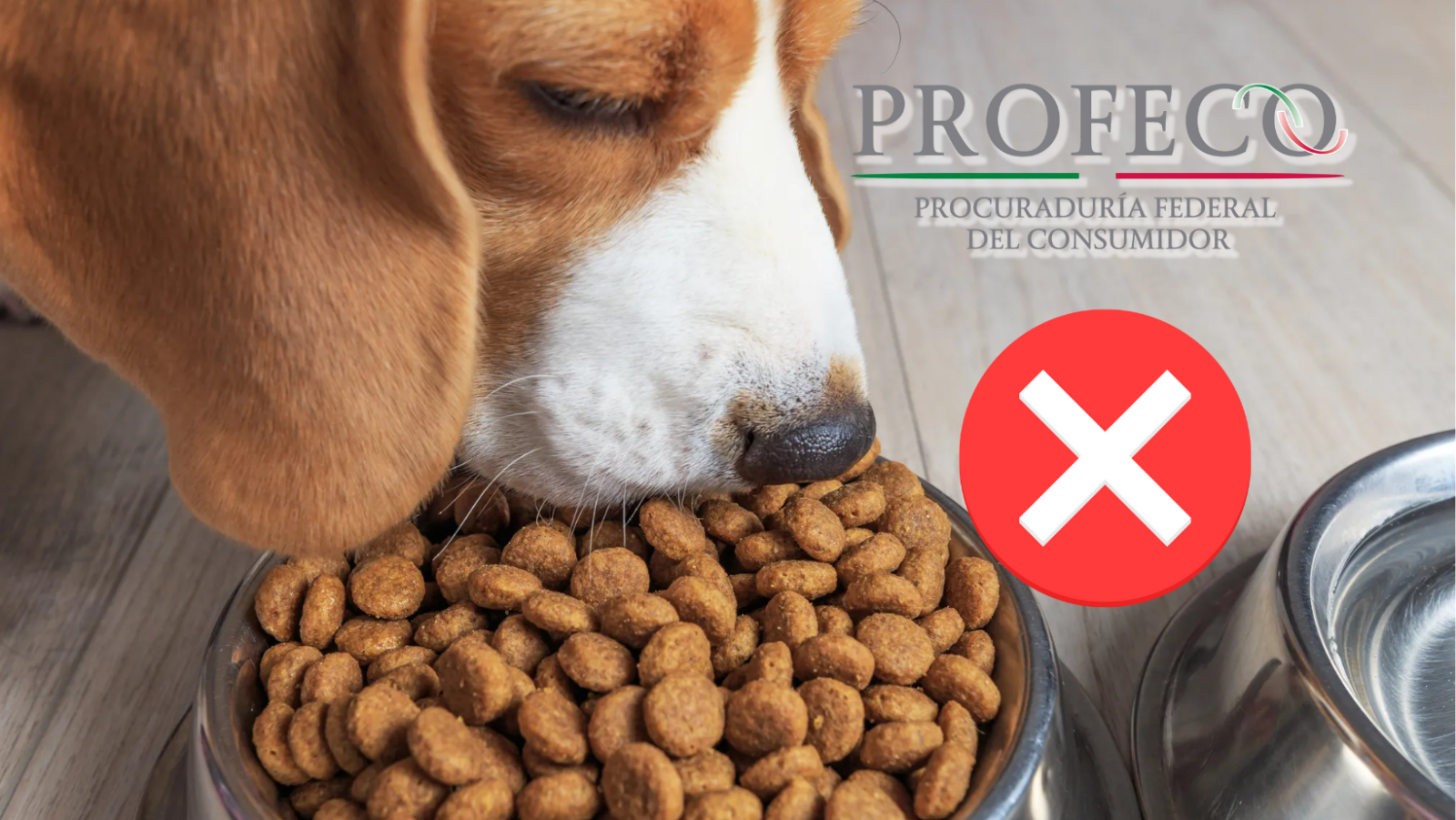Marcas de croquetas reprobadas por la Profeco Marcas de croquetas reprobadas por la Profeco
