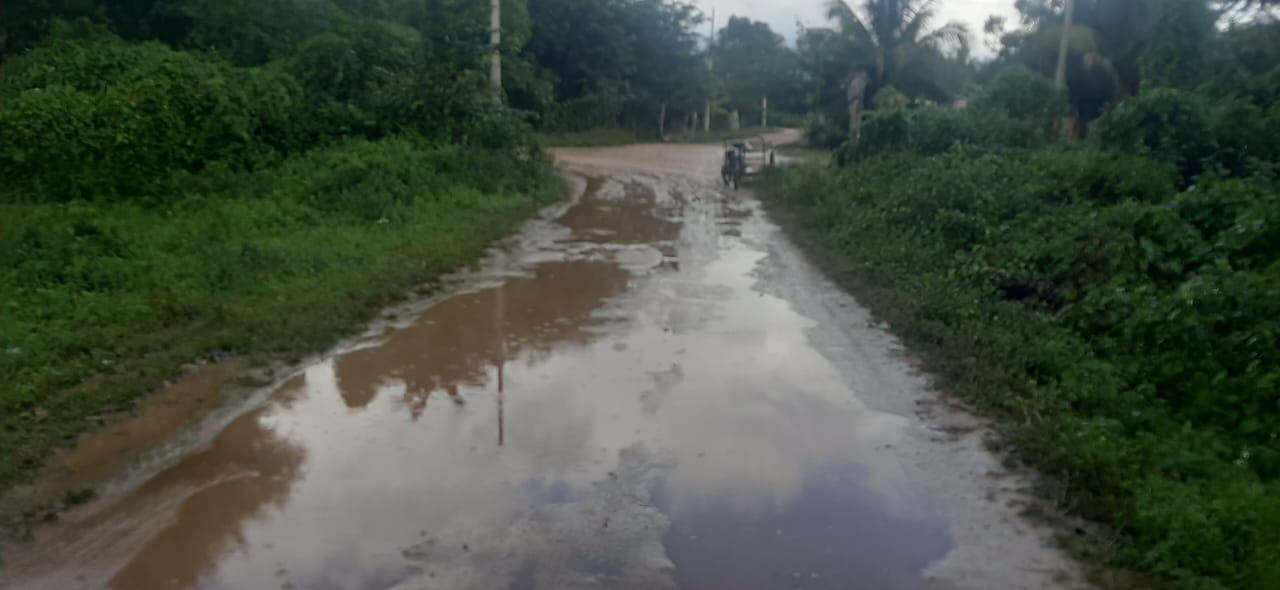 En calles de la colonia Borge se forman lodazales cuando llueve durante varios días; y cuando pasan vehículos, el problema aumenta