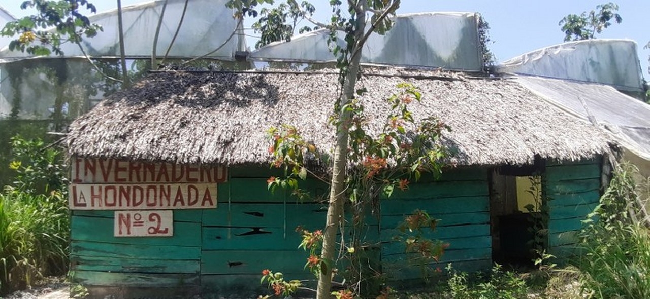 El grupo de socios del centro de cultivo de clima controlado se vio obligado a cerrar