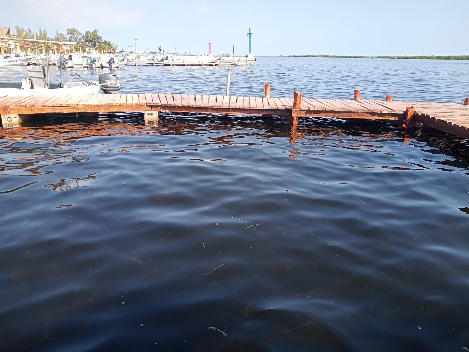 No se registran afectaciones con el desborde del mar en San Felipe y Río Lagartos