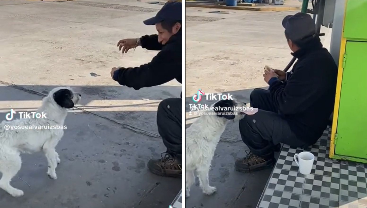 El momento se volvió viral en TikTok