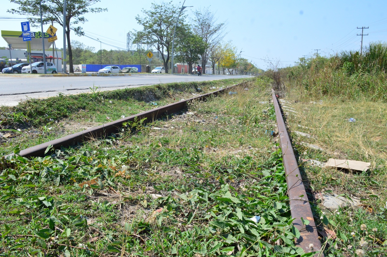 Campeche tendrá un transporte eléctrico por el Tren Maya
