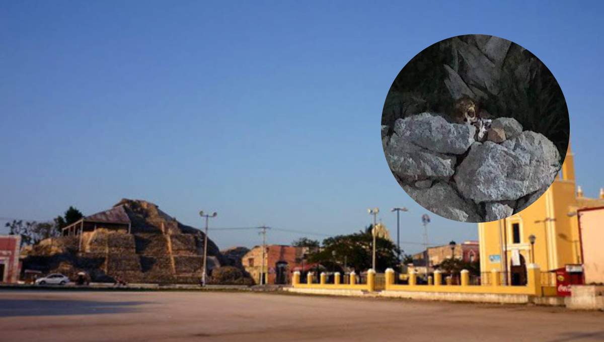 Vecinos temen que se trate de prácticas de brujería Vecinos temen que se trate de prácticas de brujería
