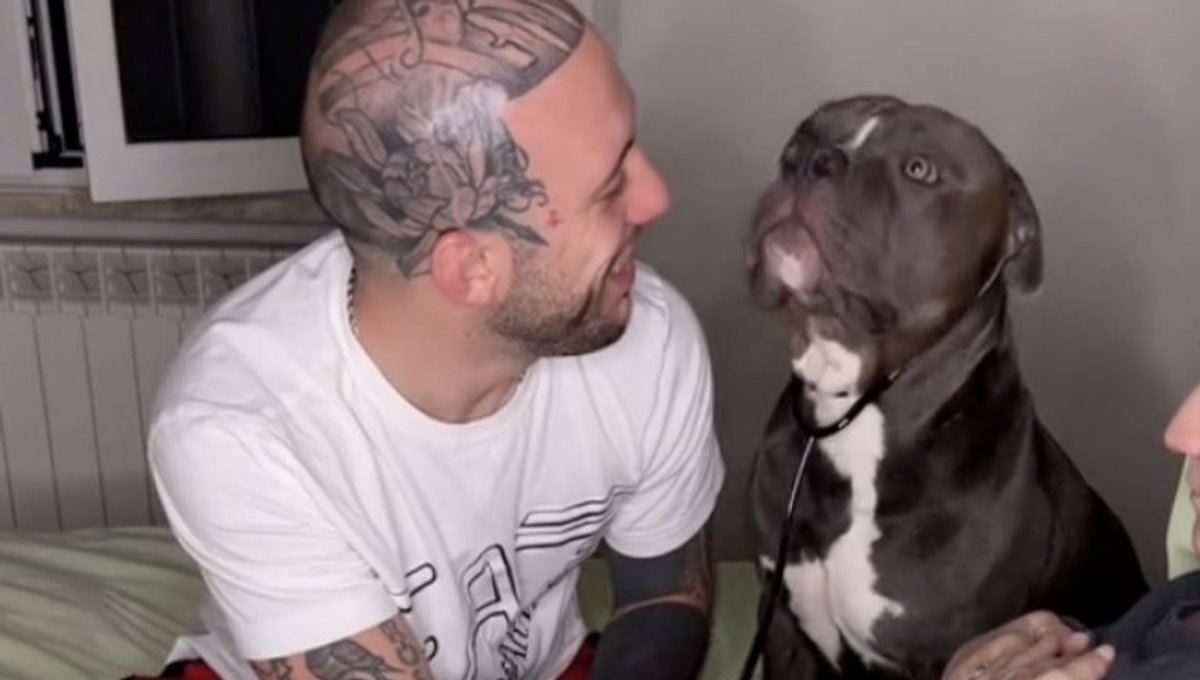 El perro pudo escuchar el corazón del bebé gracias a un estetoscopio