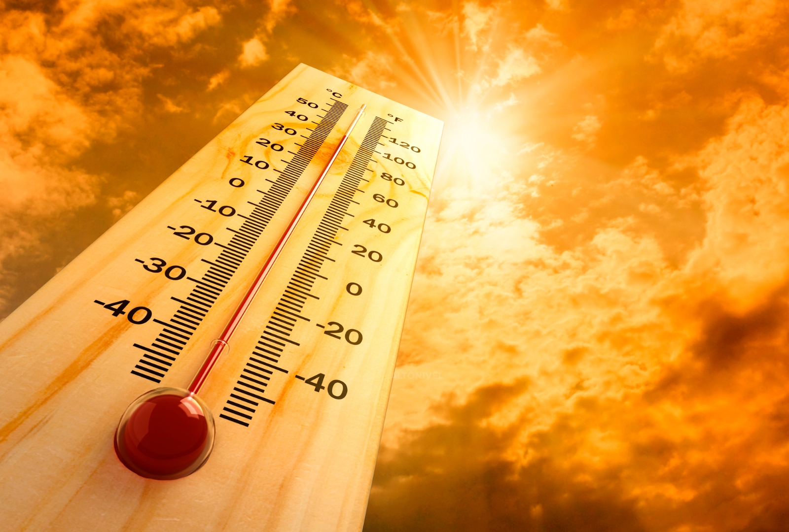 Cuarta ola de calor 2023