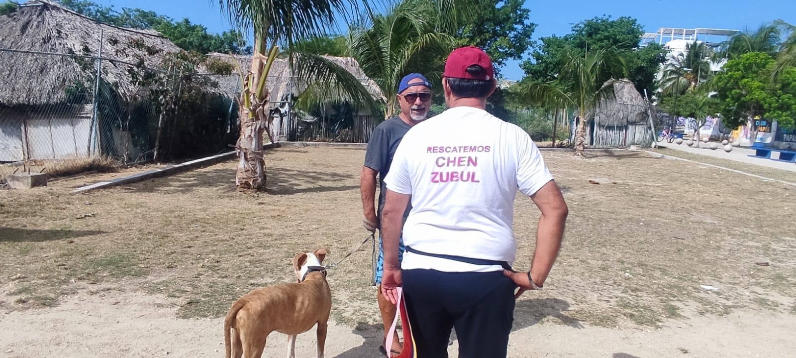 Chen Zubul en Playa del Carmen será nombrada con la Blue Flag Chen Zubul en Playa del Carmen será nombrada con la Blue Flag