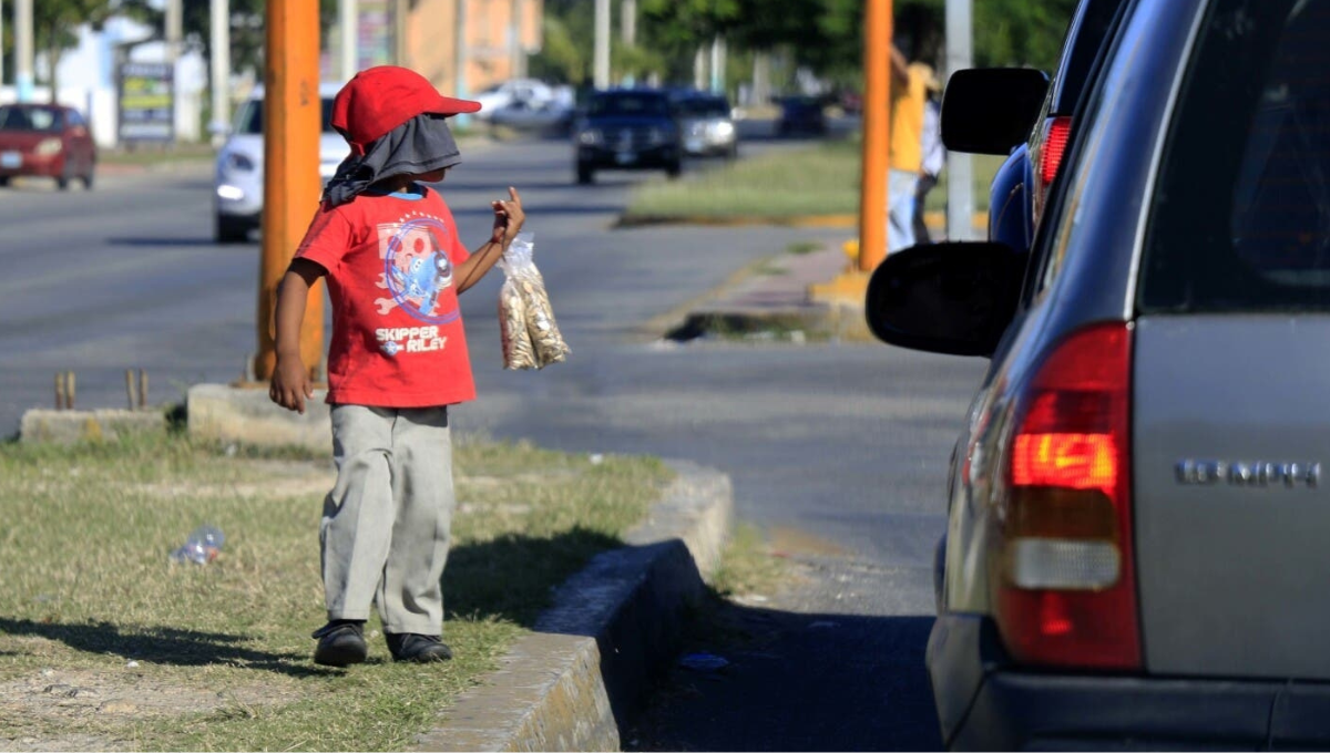 61.8% de la población infantil labora en ocupaciones peligrosas y el 38% tiene menos de 15 años