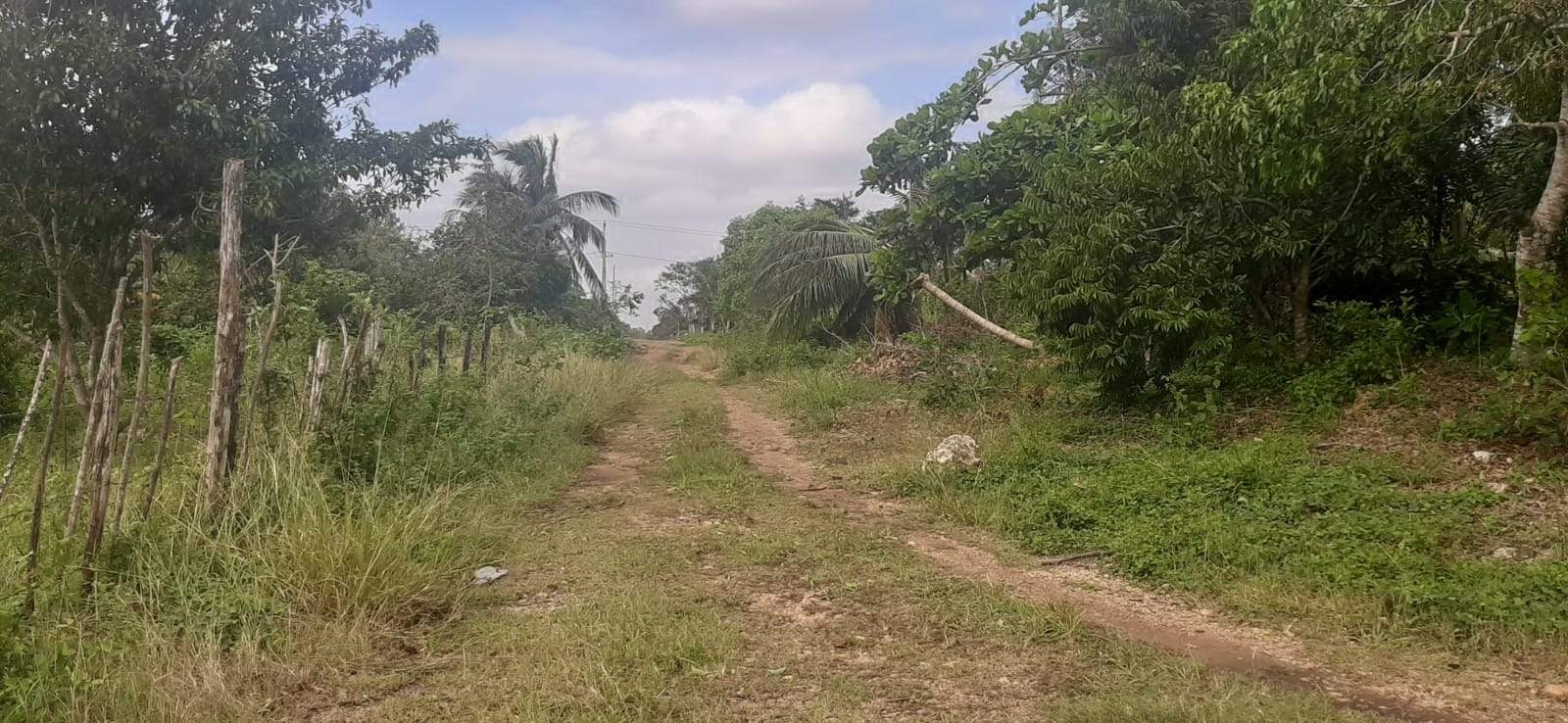 Los problemas se acentúan con los baches que se forman en los caminos