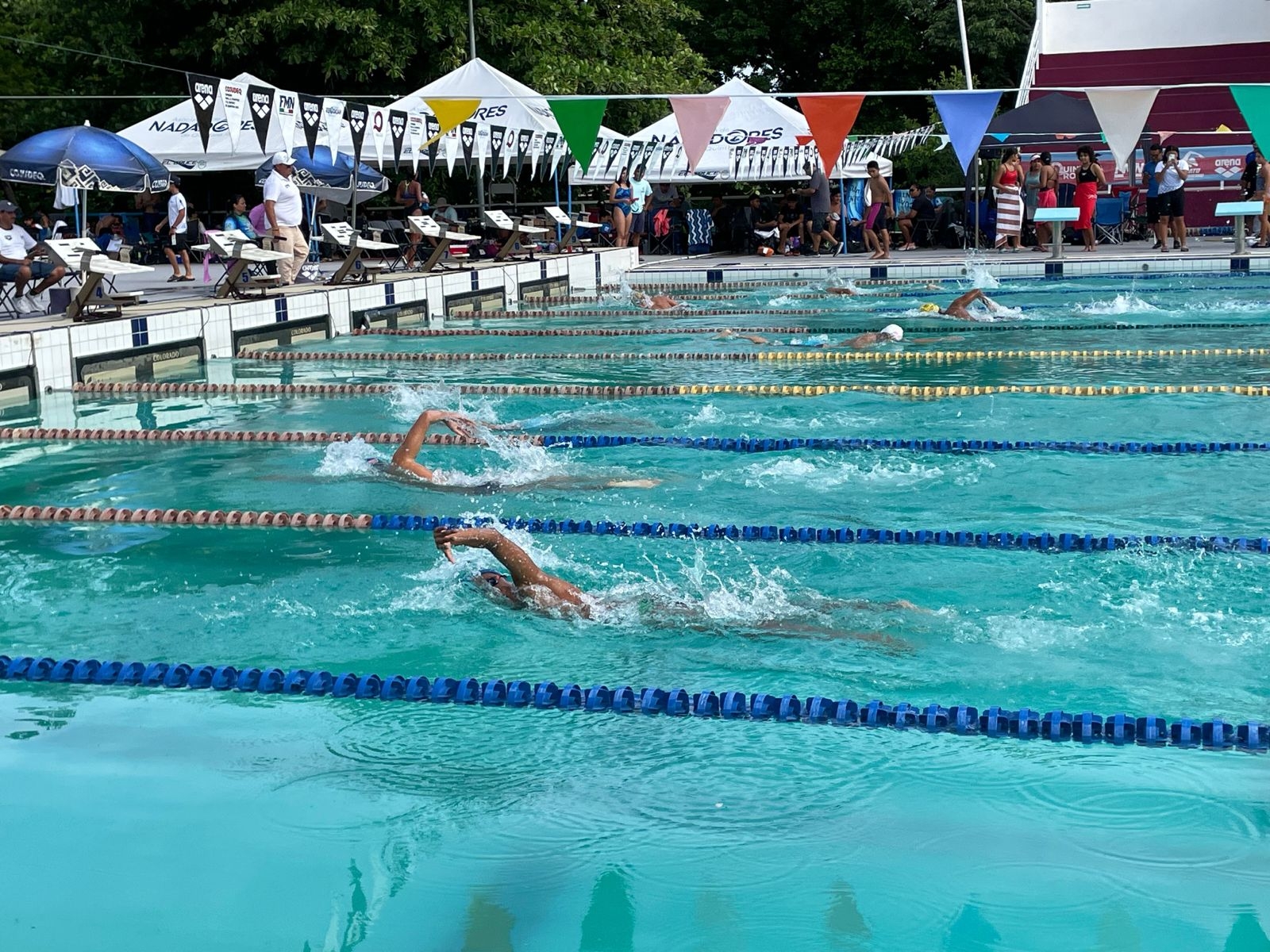 El estado tendrá presencia a través de los nadadores infantiles de los equipos de Cozumel, Chetumal, Solidaridad y Cancún El estado tendrá presencia a través de los nadadores infantiles de los equipos de Cozumel, Chetumal, Solidaridad y Cancún
