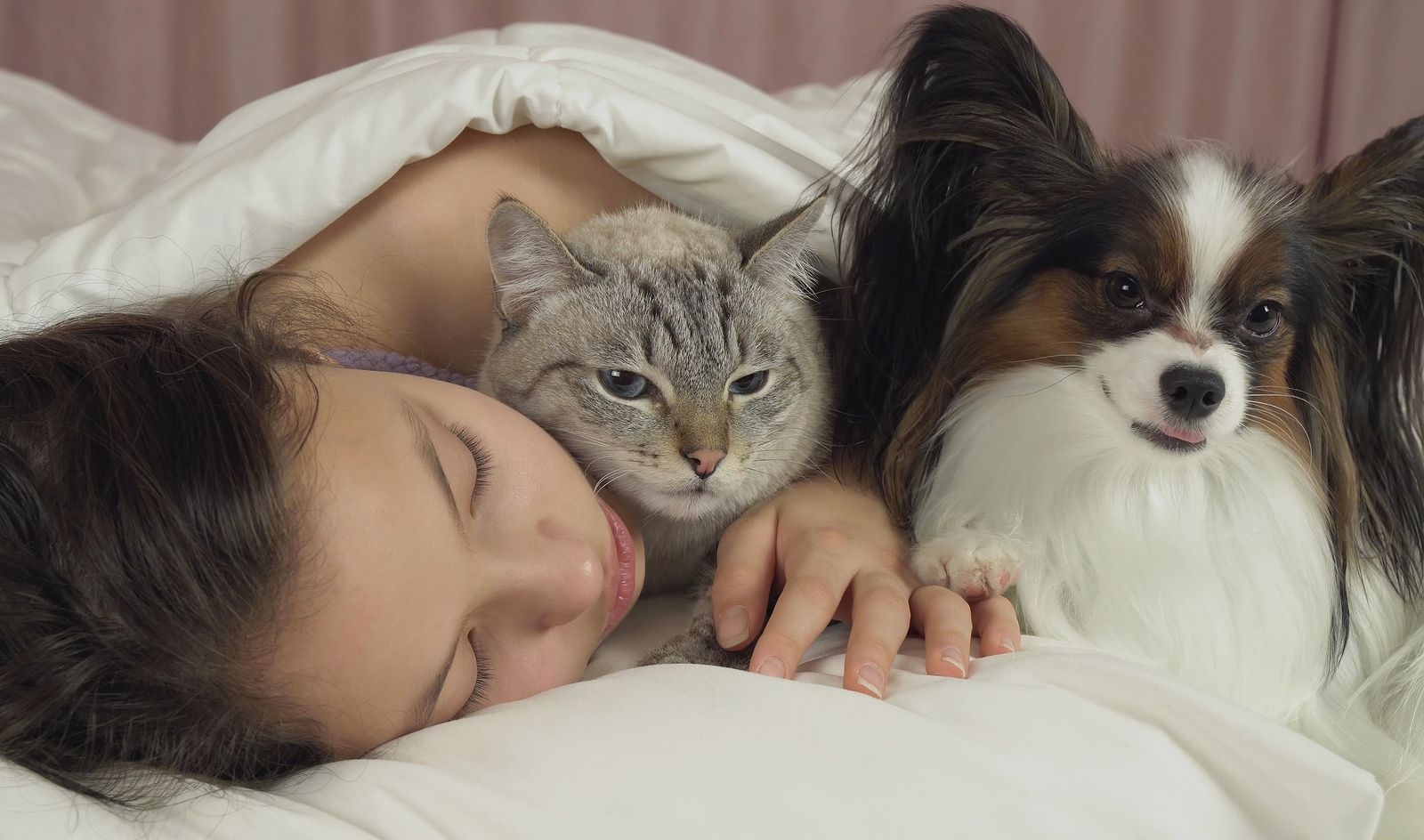 Estos son los riesgos de dormir con tu mascota Estos son los riesgos de dormir con tu mascota