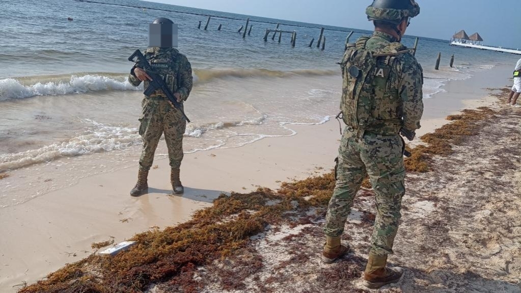 Los estupefacientes fueron trasladados y puestos a disposición de la FGR en Cancún Los estupefacientes fueron trasladados y puestos a disposición de la FGR en Cancún