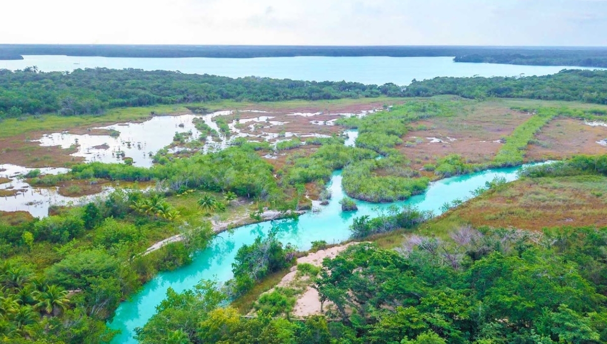 Habitantes de Bacalar rechazan convertir al Estero de Chac en área protegida