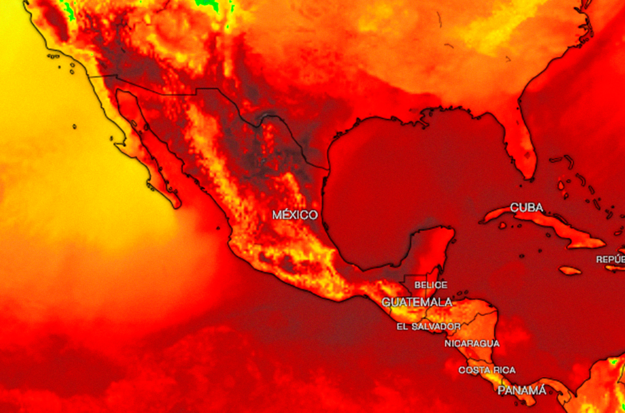 ONU advierte que próximas olas de calor serán las más intensas de la historia