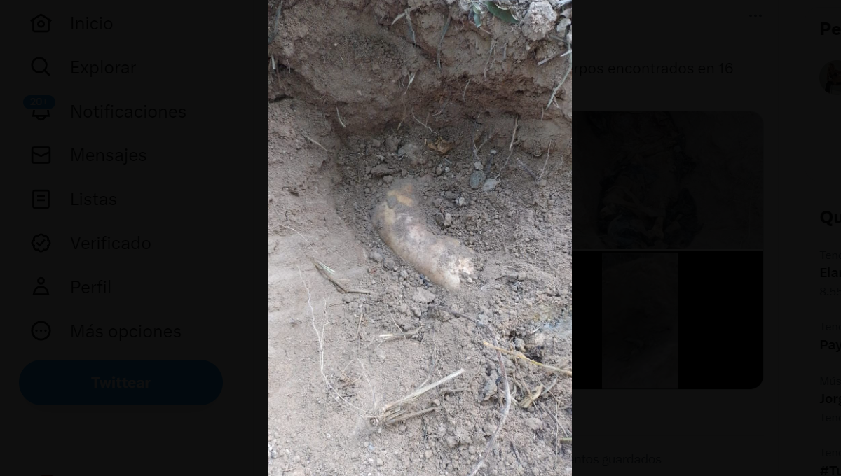 Ahora se investiga la identidad de los cuerpos encontrados Ahora se investiga la identidad de los cuerpos encontrados