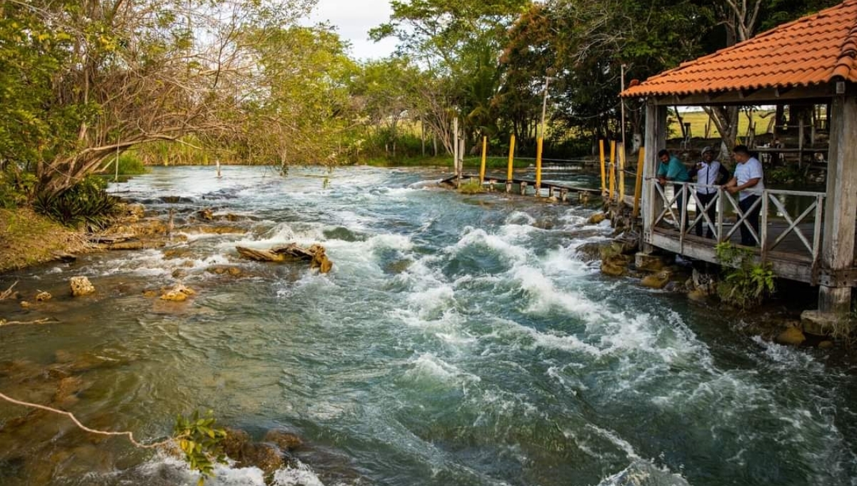 49 mil 500 hectáreas forman parte del Corredor Biológico de Campeche