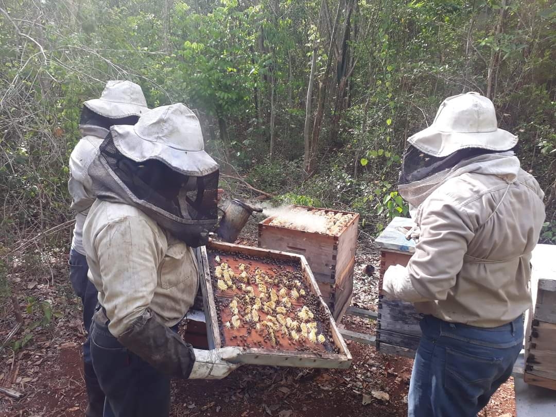 Tunkás era conocido como la Tierra de la Jalea Real por su alta producción