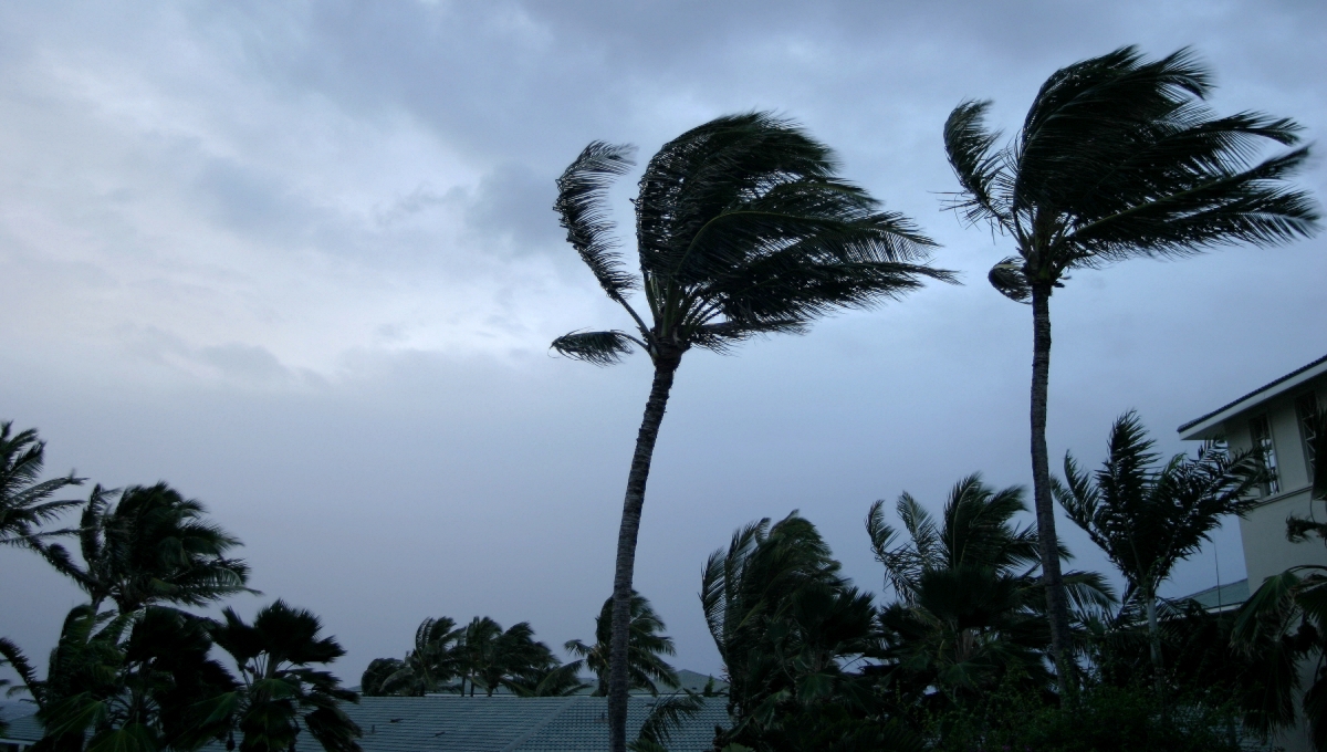 Un Ciclón Tropical se formaría en el Atlántico la próxima semana Un Ciclón Tropical se formaría en el Atlántico la próxima semana