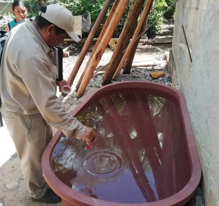 Campeche realiza jornada contra el dengue este viernes en 11 municipios; estas localidades visitarán    
