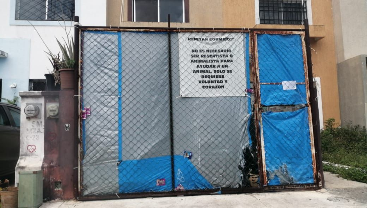 El inmueble fue asegurado por las autoridades luego del hallazgo de los animales