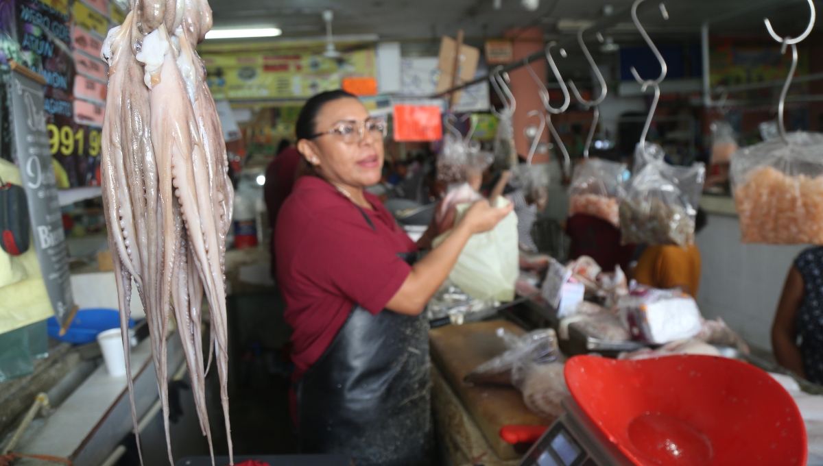 Durante el 2022, la captura de pulpo fue de 19 toneladas