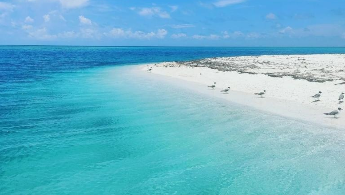 Esta es la playa más linda de Yucatán