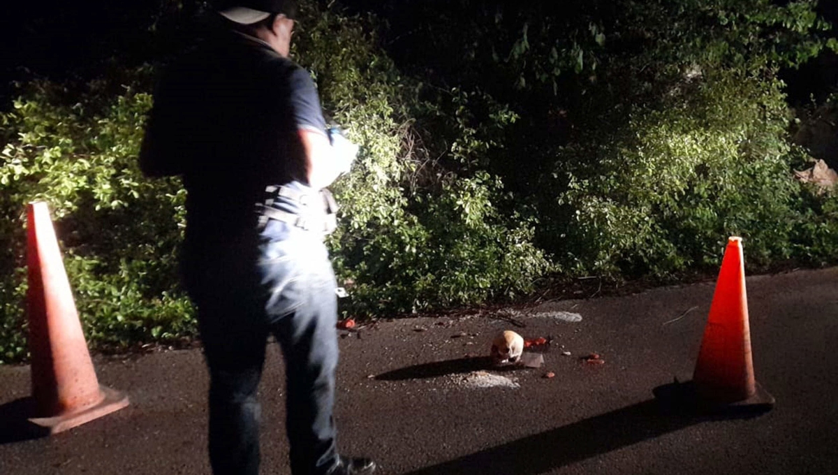 En el lugar se encontraron cráneos, veladoras rojas, una vela negra y un círculo de sal