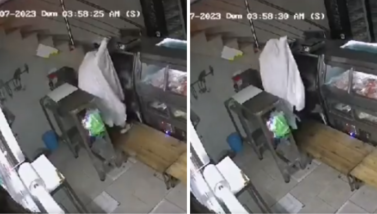 Al final el 'fantasma' huyó sin llevarse nada
Al final el 'fantasma' huyó sin llevarse nada