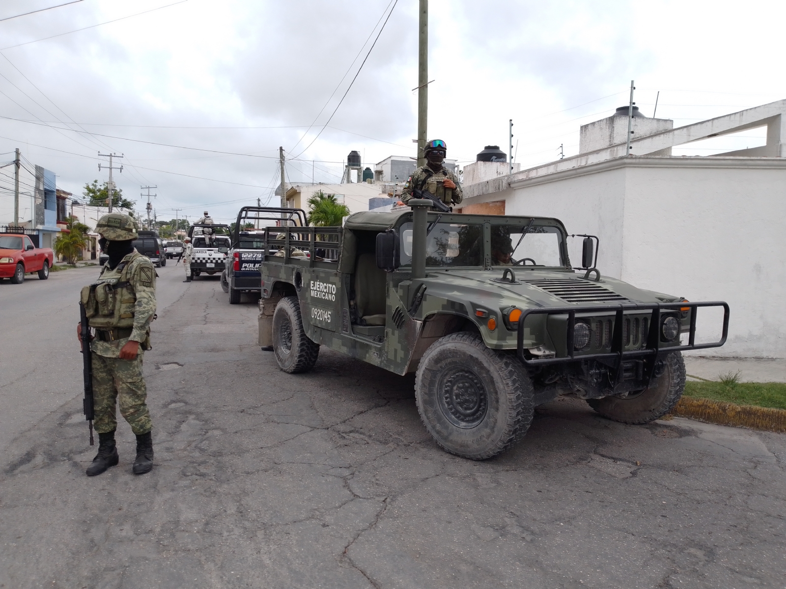 Se presume que el cultivo lo realiza un grupo criminal que opera en esa zona de Cancún
