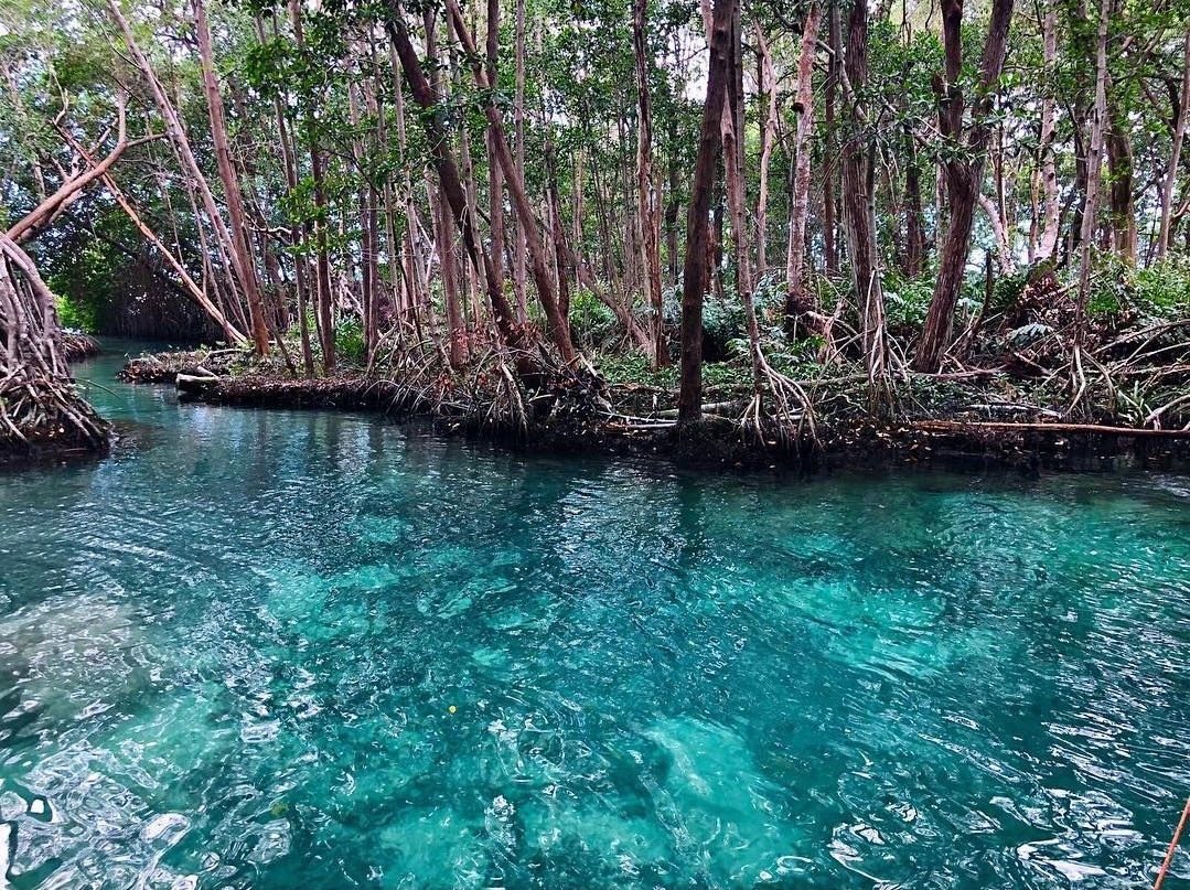 Los ojos de agua se encuentran escondidos en Yucatán
