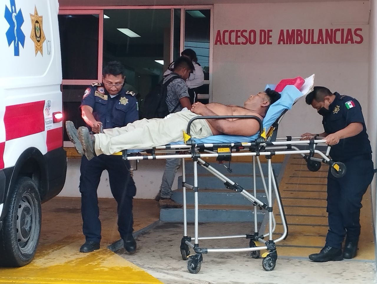 El electricista fue atacado por un enjambre de abejas cuando laboraba en un poste