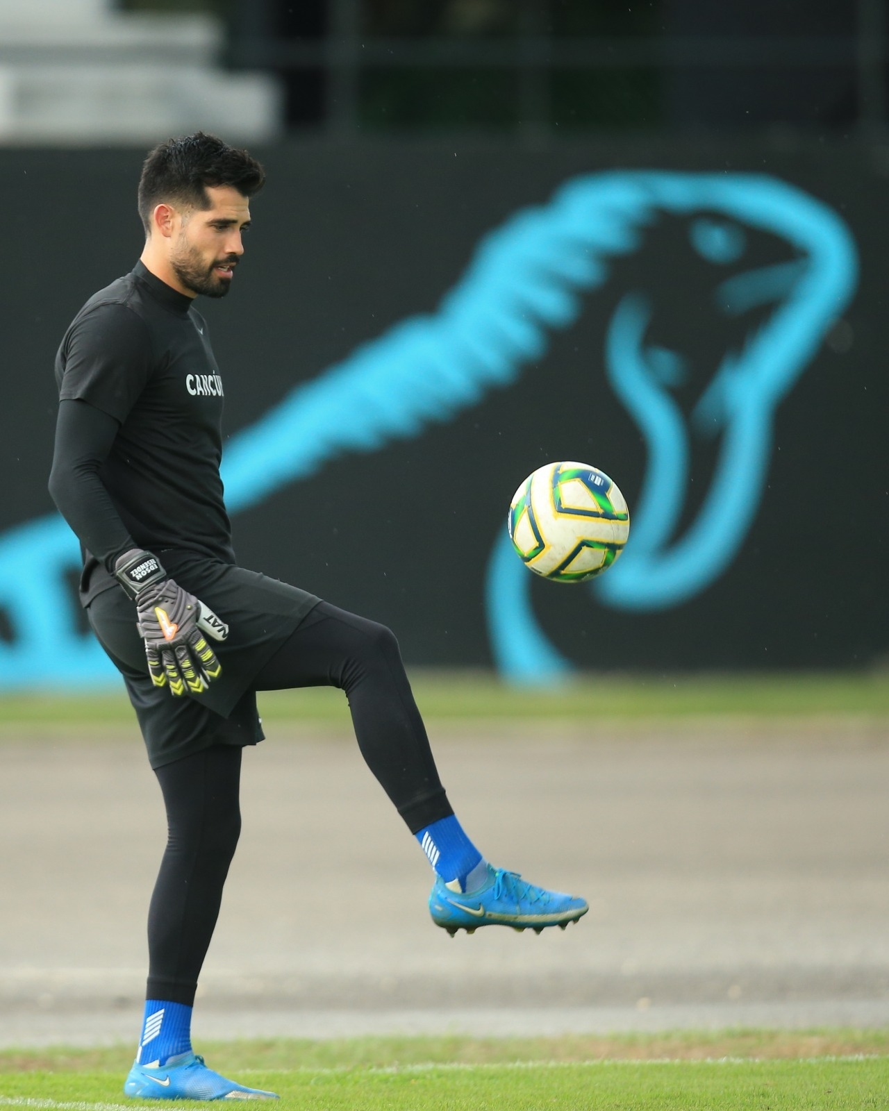 Cancún FC sostendrá siete partidos en casa Cancún FC sostendrá siete partidos en casa
