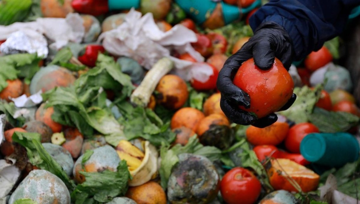 Los alimentos que van a la basura son un gran problema para el mundo. Foto: Especial