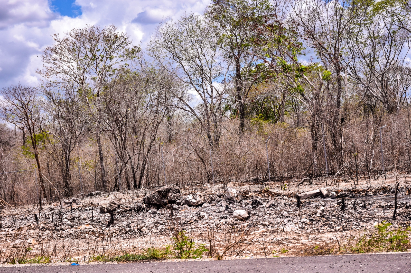 Mérida, Mocochá, Motul, Muna y Opichén son los municipios afectados por la sequía